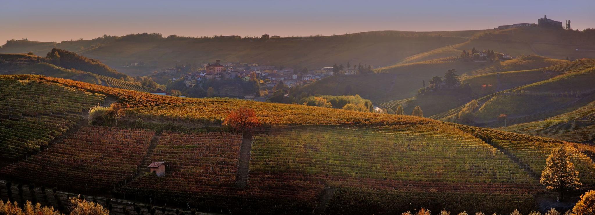 Marchesi di Barolo Cover Image
