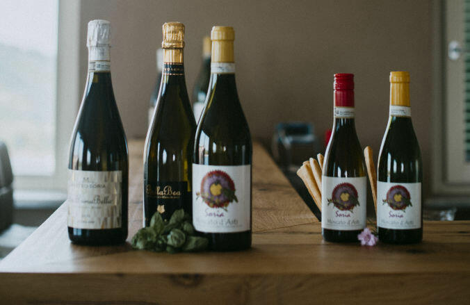 Matteo Soria Winery Cover Image