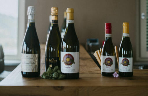 Matteo Soria Winery Image