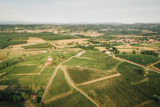 Giulio Arnera Image
