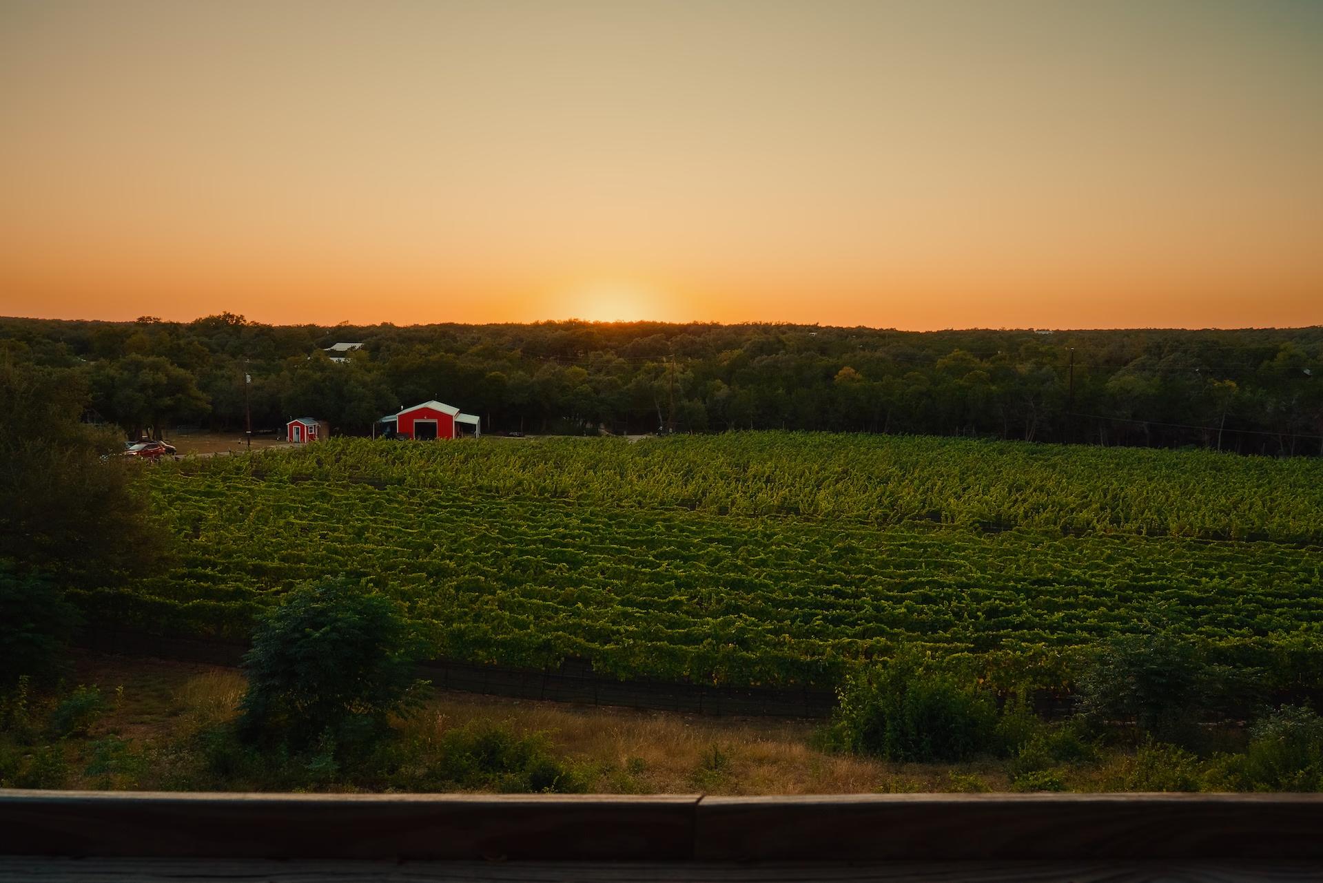 Friday Mountain Wines Cover Image