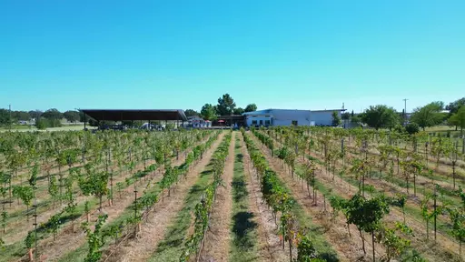 Hilmy Cellars Image