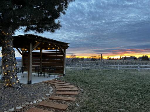 Sol Invictus Vineyard Image