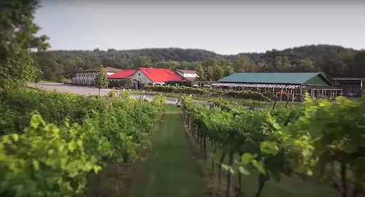Narcisi Winery Image
