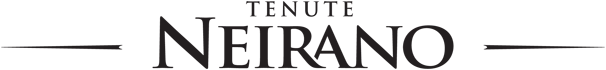 Tenute Neirano Spa / Giacomo Sperone Spa Logo