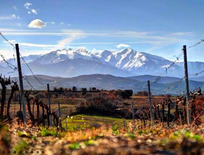 Domaine Lafage Cover Image